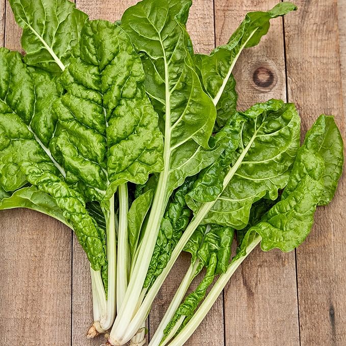 Burpee Fordhook Giant Swiss Chard Seeds - Heirloom Spinach Substitute Greens