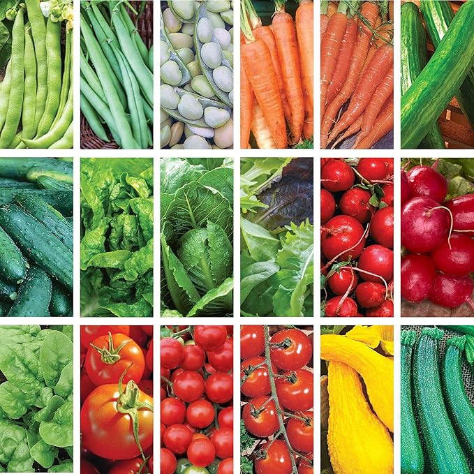 Ferry-Morse Easy to Grow Vegetable Garden Non-GMO Seed Bundle - 18 Pack