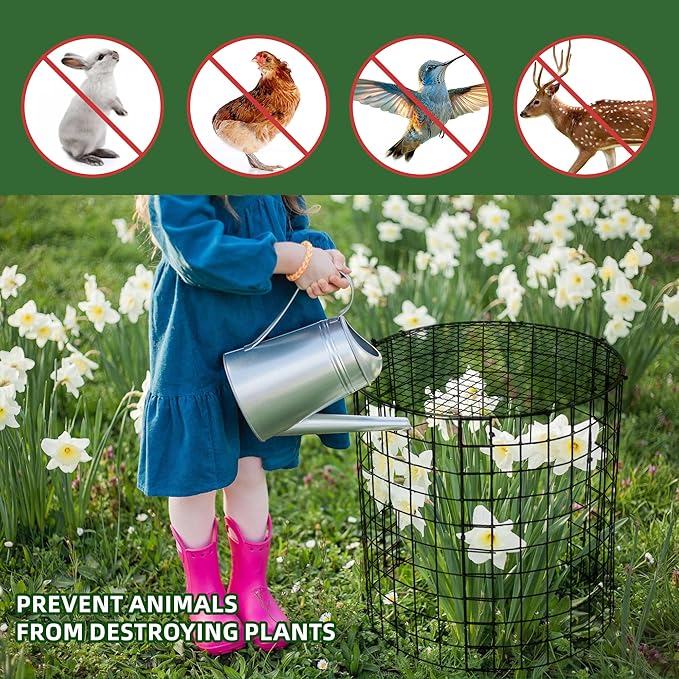 4 Sets of DIY Metal Plant Protectors from Deer, Garden Fencing Animal Barrier Size 11.8 * 12.9 inches, Mesh Plant Cage Chicken Wire Cloche for Plants with Stakes and Nylon Cables
