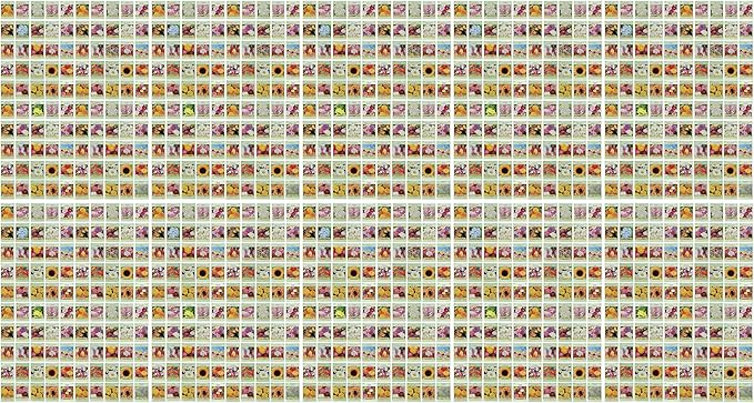 Set of 1000 Assorted Valley Green Flower Seed Packets! Flower Seeds in Bulk - 20+ Varieties Available! (1000)