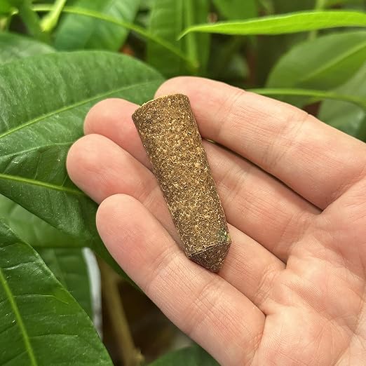 The Old Farmer's Almanac Houseplant & Flower Plant Food Mini Spikes - NPK 5-5-5 for Continuous Feeding and Vibrant Colors (72 Mini Spikes)