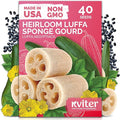 KVITER 40 Luffa Seeds (Luffa Aegyptiaca) – Loofa, Loofah Sponge Gourd Heirloom Seeds, Ideal Non GMO & Organic Natural Sponge – Loofah Seed for Planting from USA to Grow in Your Home Vegetable Garden