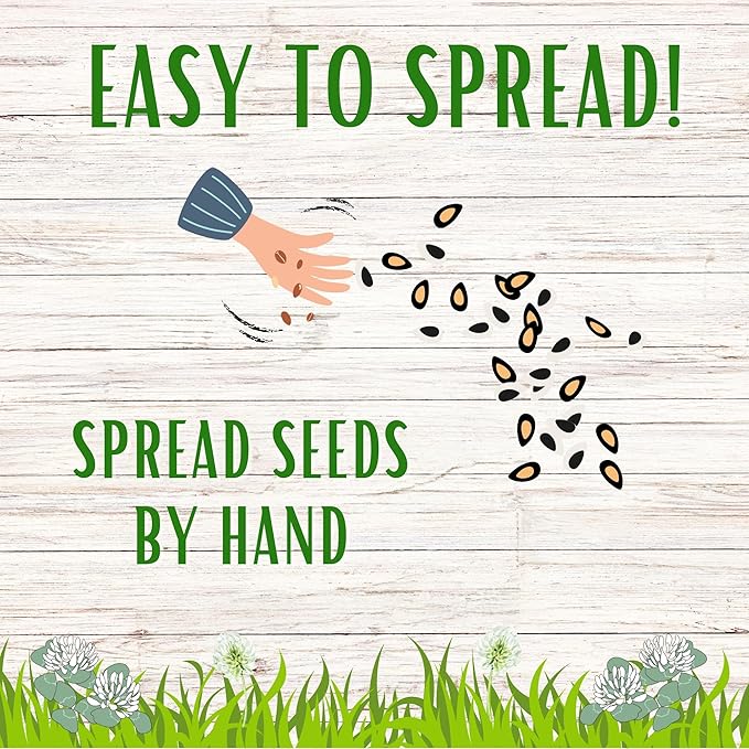 Flawn Seed Kits White Dutch Clover Seed, 1.1 Oz, Organic Coated, Natural Lawn, Ground Cover, Hunting Food Plot, Covers up to 250 Sqft