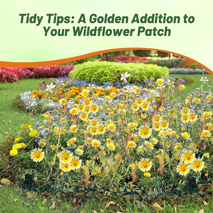 Outsidepride Tidy Tips Seeds - 1/8 lb Annual Dazzling Golden-Yellow & White Blooms, Drought Tolerant, Self-Seeding, Ideal for Rock Gardens, Flower Boxes, Borders, Xeriscape & Low-Water Landscapes