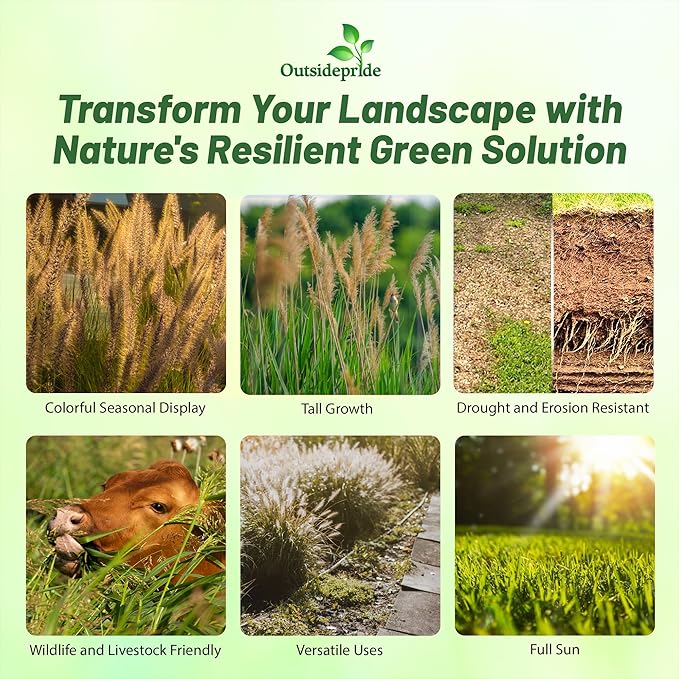 Outsidepride Indian Native Grass Seed - 1 lb. Perennial, Low Maintenance, Drought-Tolerant Prairie Grass Seed for Wildlife Habitat, Livestock Forage, Ornamental Landscaping & Erosion Control