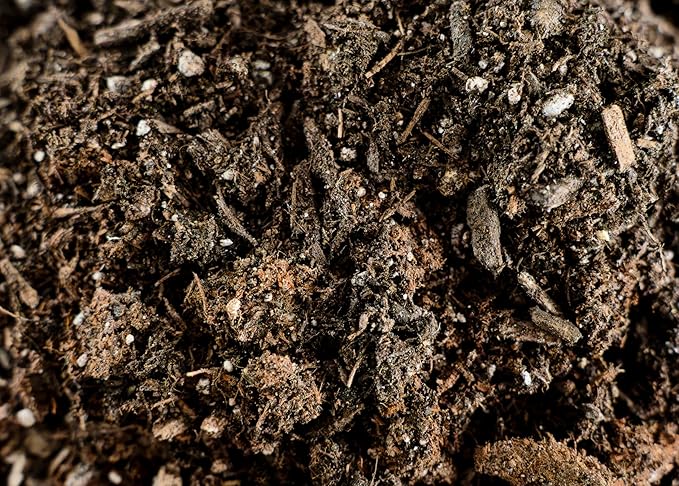 LGM Premium Cactus & Succulent Soil Mix (0.5 Cu Ft) – Root Rot Protection with Volcanic Ash & Chicken Manure – Fast Draining Mix for Indoor Plants, Aloe, Citrus, & Palms – Organic, Ready-to-Use