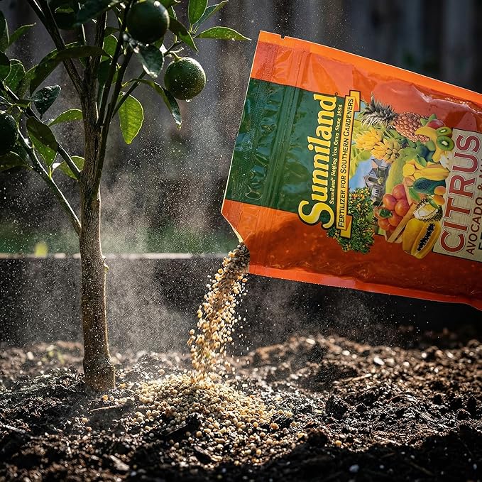 Avocado and Mango 6-4-6 Plant Fertilizer – 20 lb Bag – Granular Plant Food for Avocado, Mango & Citrus Trees – Supports Steady Growth & Seasonal Feeding – Balanced 6-4-6 Garden Formula