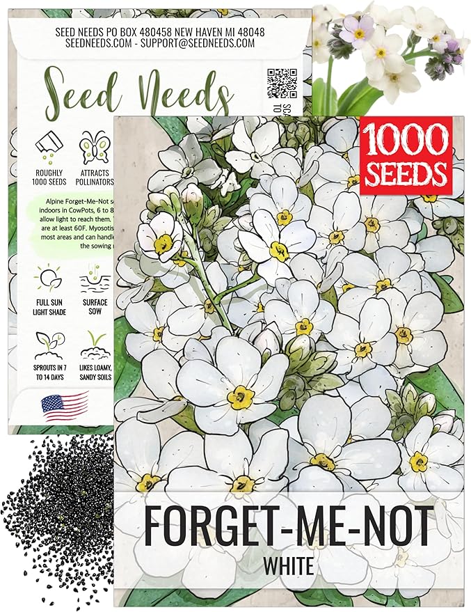 Seed Needs Forget Me Not Seeds for Planting White Myosotis Flowers - Heirloom & Open Pollinated Wildflowers to Plant an Outdoor Butterfly Garden to Attract Pollinators (1 Pack)