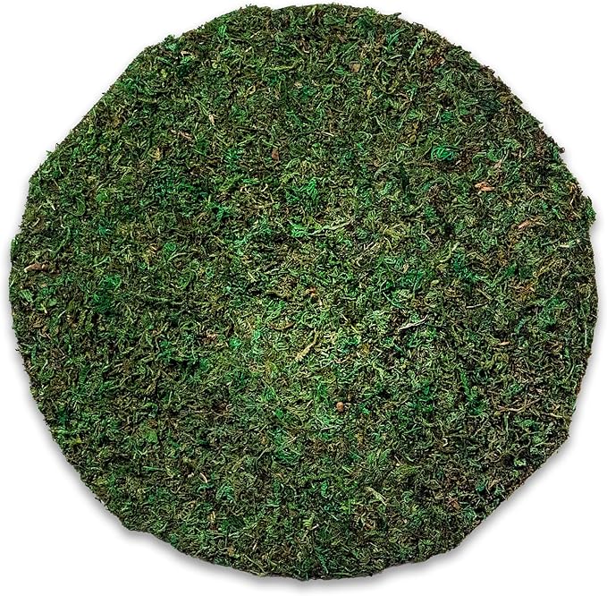 SuperMoss (26325) Moss Soil Toppers (Place Mats), Fresh Green, 16" (3 units)