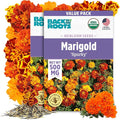 Back to The Roots 100% Organic Heirloom Seeds - Marigold Flower Value Pack (500mg Total)