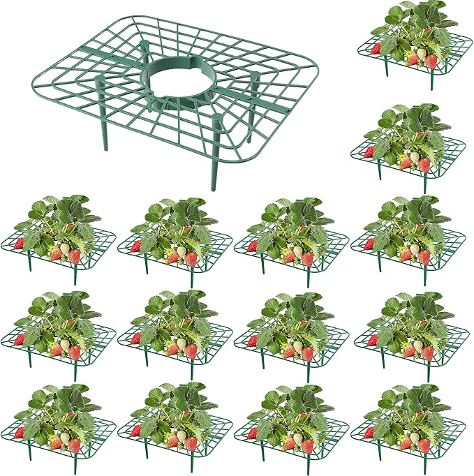 15Packs Strawberry Plant Support, Strawberry Plant Stand Holder Reusable Strawberry Plant Protector Greenhouse Strawberry Trellis Accessories Strawberry Planter for Strawberry Garden Plants