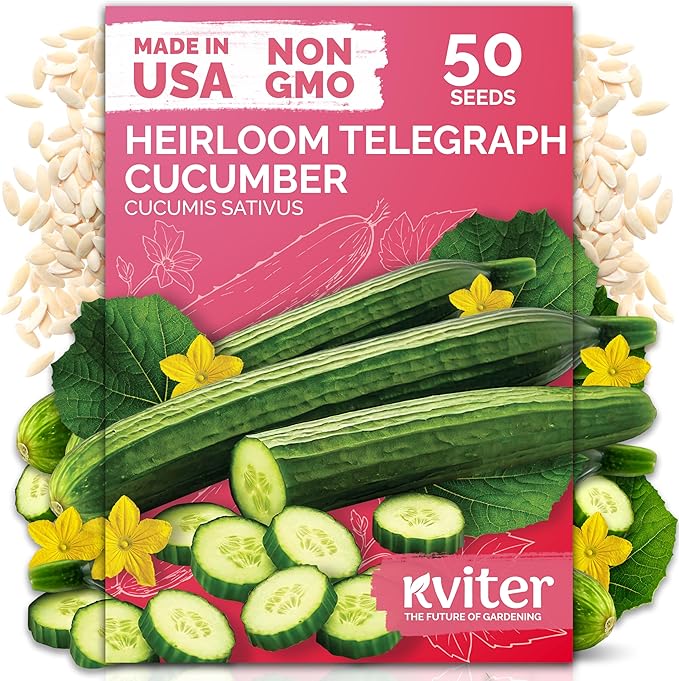KVITER 50 English Telegraph Cucumber Seeds (Cucumis sativus) - English Cucumber Organic, Burpless & Near Seedless Cucumbers - Vegetable Seeds for Planting Outdoors in Home Garden & Containers
