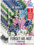 Seed Needs Forget Me Not Seeds for Planting Mixed Flowers - Heirloom & Open Pollinated Wild Flower Seed to Plant an Outdoor Butterfly Garden to Attract Pollinators (5 Packs)