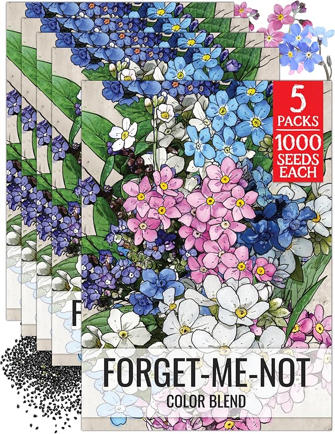 Seed Needs Forget Me Not Seeds for Planting Mixed Flowers - Heirloom & Open Pollinated Wild Flower Seed to Plant an Outdoor Butterfly Garden to Attract Pollinators (5 Packs)
