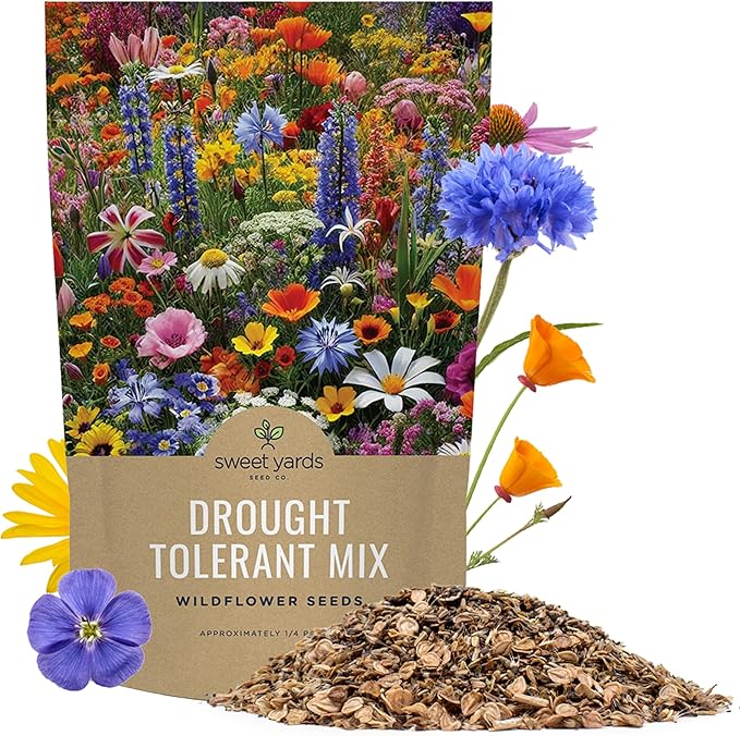 Drought Tolerant Wildflowers Mix – Bulk Quarter Pound Bag – Over 30,000 Open Pollinated Non-GMO Seeds – 21 Different Dryland Species