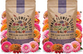 Zinnia Seeds Pack 4 oz - Over 15,300 Non-GMO Heirloom Zinnia Seeds for Planting, Annual Flowers in Individual Seed Packet for Planting Home Garden Indoor & Outdoor Gardening (Pack of 2)
