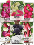 Seed Needs, Multicolor Radish Seed Packet Collection (6 Individual Varieties of Radish Seeds for Planting) Non-GMO & Untreated