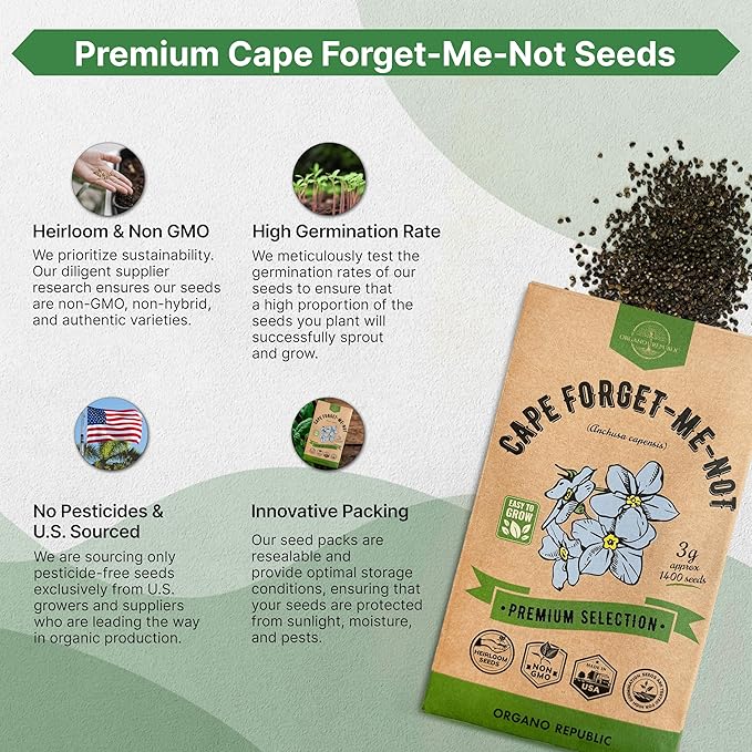 Cape Forget-Me-Not Seeds Pack 3G - Over 1,400 Non-GMO Heirloom Cape Forget-Me-Not Seeds for Planting Flowers in Individual Seed Packet, Flower Seeds for Planting Home Garden Indoor & Outdoor Gardening