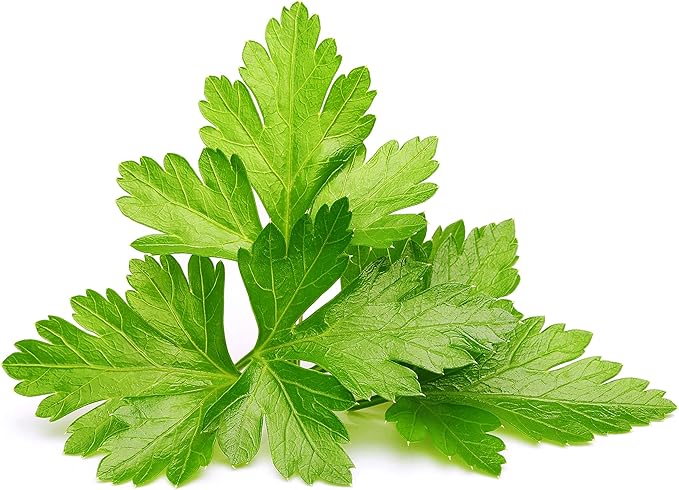 Click and Grow Smart Garden Cilantro/Coriander Plant Pods, 3-Pack