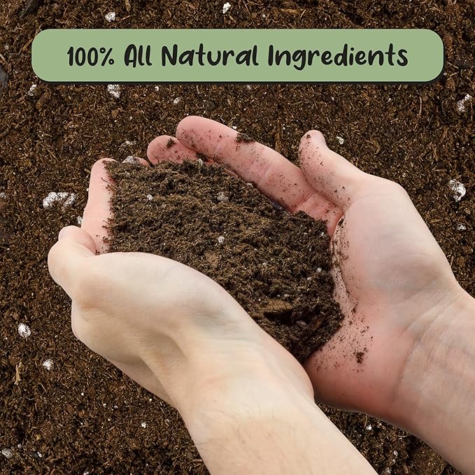 Soil Sunrise Hoya Plant Potting Soil Mix (8 Quarts) Custom Blend for Growing Hoya Tropical Houseplants