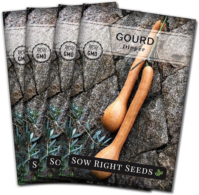 Sow Right Seeds - Dipper Gourd Seeds for Planting - Non-GMO Heirloom Packet with Instructions to Plant and Grow an Outdoor Home Vegetable Garden - Ornamental Craft Gourd - Rare & Unique (4)