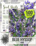 Seed Needs Hyssop Seeds for Planting Blue Hyssop Herbs - Non-GMO Heirloom & Untreated Hyssopus officinalis Seed to Plant an Indoor/Outdoor Medicinal Herb Garden (1 Pack)