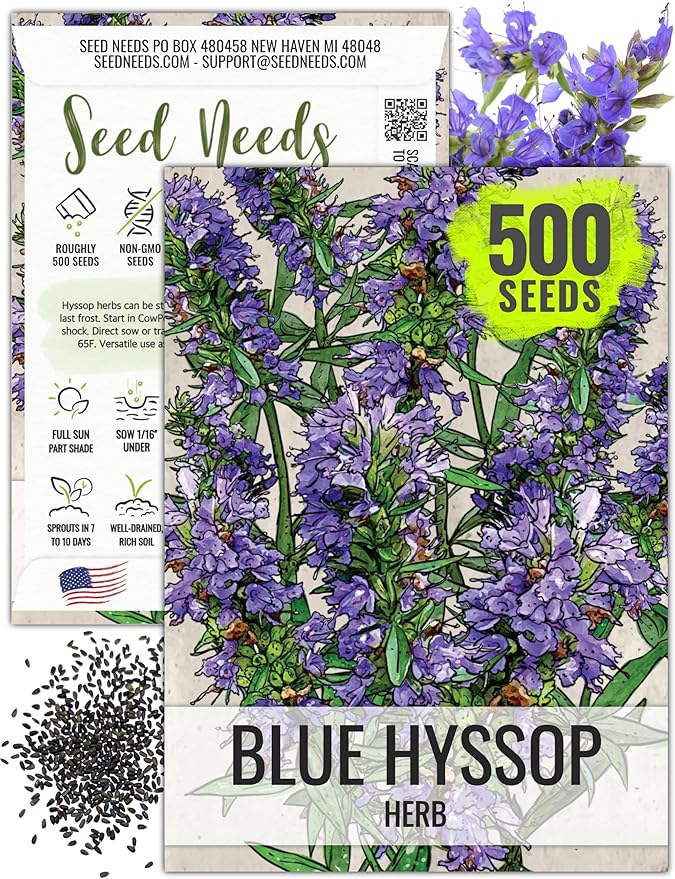 Seed Needs Hyssop Seeds for Planting Blue Hyssop Herbs - Non-GMO Heirloom & Untreated Hyssopus officinalis Seed to Plant an Indoor/Outdoor Medicinal Herb Garden (1 Pack)