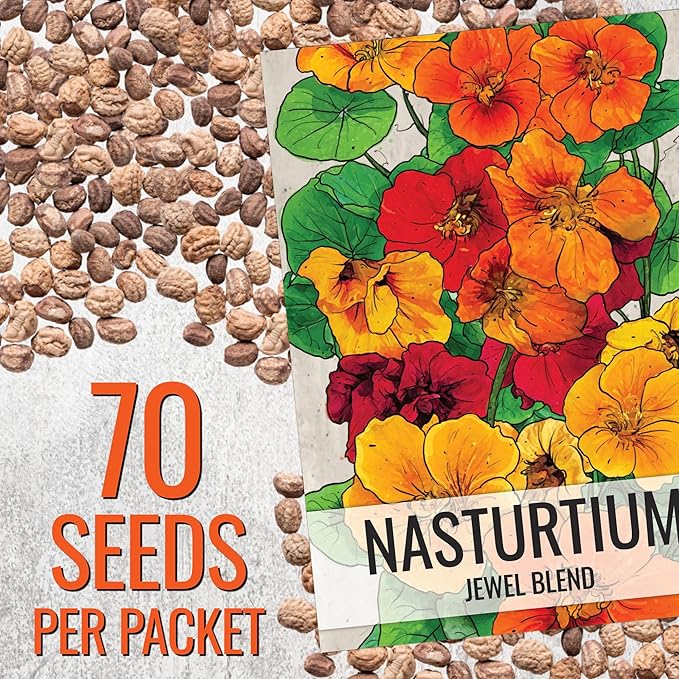 Seed Needs Nasturtium Seeds for Planting Jewel Blend - Heirloom Untreated & Open Pollinated Annual Wildflowers - Edible Mixed Flowers to Plant a Butterfly Garden (1 Pack)
