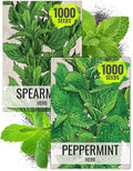 Seed Needs Mint Seeds for Planting Spearmint & Peppermint - Non-GMO Heirloom & Untreated Herb Seed to Plant an Indoor/Outdoor Culinary Medicinal Garden (Collection of 2 Packets)