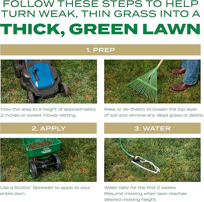 Scotts Turf Builder Thick'R Lawn Southern Gold Blend for Tall Fescue Lawns, Grass Seed, Fertilizer, and Soil Improver, 12 lb.