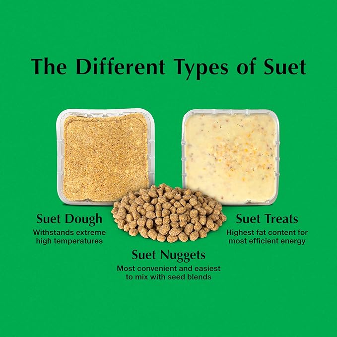 C&S Sunflower Suet Nuggets, Wild Bird Food for Woodpeckers, Chickadees, Nuthatches, and More., 27 Ounces