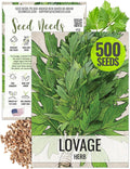 Seed Needs Lovage Seeds for Planting - Non-GMO Heirloom & Untreated Herbs to Plant a Medicinal/Culinary Home Grown Herb Garden Indoors or Outdoors (1 Pack)