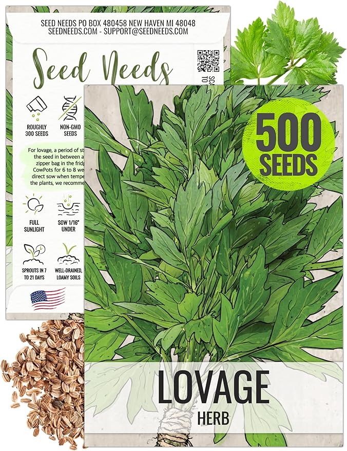 Seed Needs Lovage Seeds for Planting - Non-GMO Heirloom & Untreated Herbs to Plant a Medicinal/Culinary Home Grown Herb Garden Indoors or Outdoors (1 Pack)