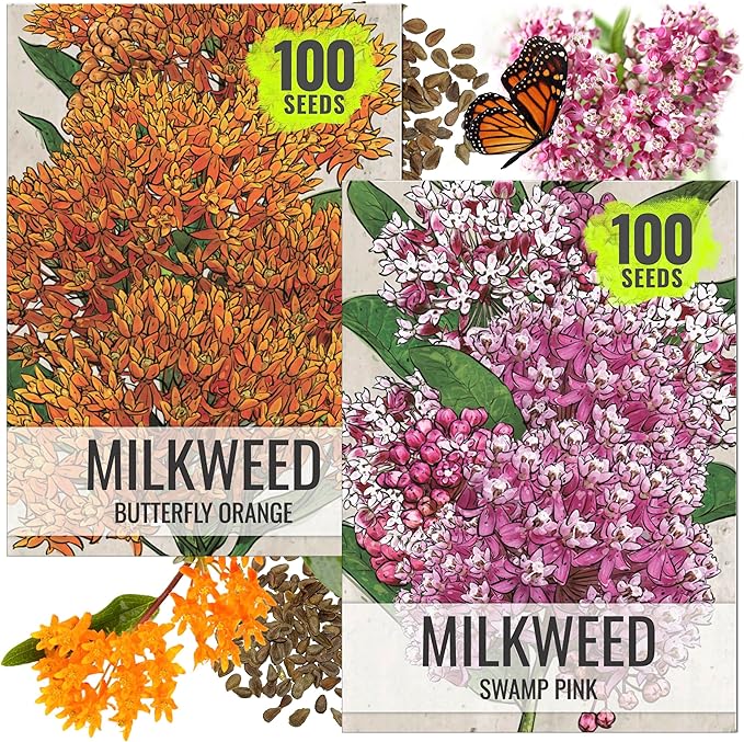 Seed Needs Milkweed Seeds for Planting Butterfly Orange/Swamp Pink Asclepias Flowers - Heirloom Wildflowers to Attract Monarch Butterflies to a Butterfly Garden