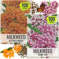 Seed Needs Milkweed Seeds for Planting Butterfly Orange/Swamp Pink Asclepias Flowers - Heirloom Wildflowers to Attract Monarch Butterflies to a Butterfly Garden