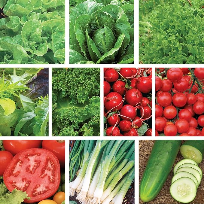 Ferry-Morse Organic Salad Garden Seed Bundle - 10 Pack