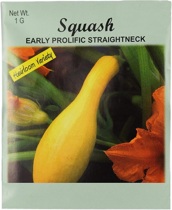 Set of 25 Squash- Early Prolific Straightneck Vegetable Seed Packs - 100% GMO Free - Heirloom - Black Duck Brand (25, Squash- Early Prolific Straightneck)