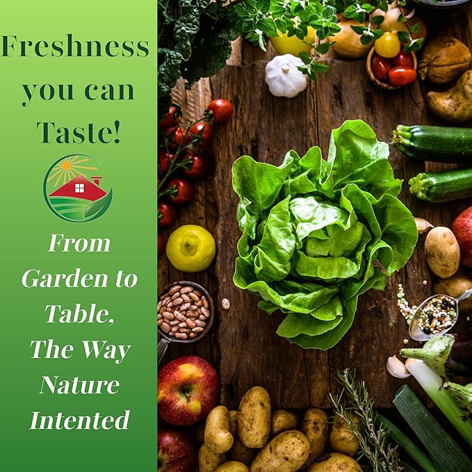 TKE Farms & Gardens - Buttercrunch Lettuce Seeds for Planting, 2500+ Seeds, Heirloom, Non-GMO, 3 Grams, Indoor & Outdoor Gardens, Butterhead Lettuce (Lactuca Sativa), Growing Instructions Included