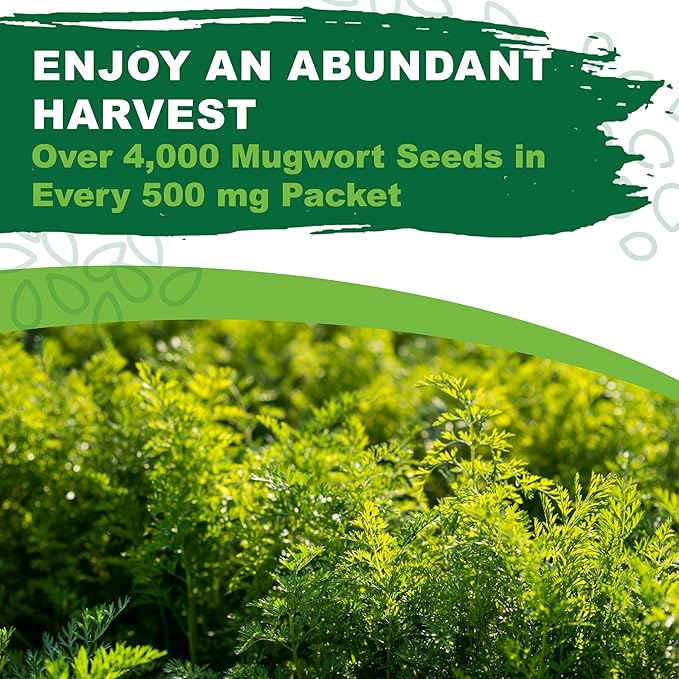 TKE Farms & Gardens - Mugwort Seeds for Planting, 500 mg Packet, 4000+ Non-GMO Heirloom Herb Seeds, Fast-Growing Perennial Herb, Includes Easy Planting Instructions