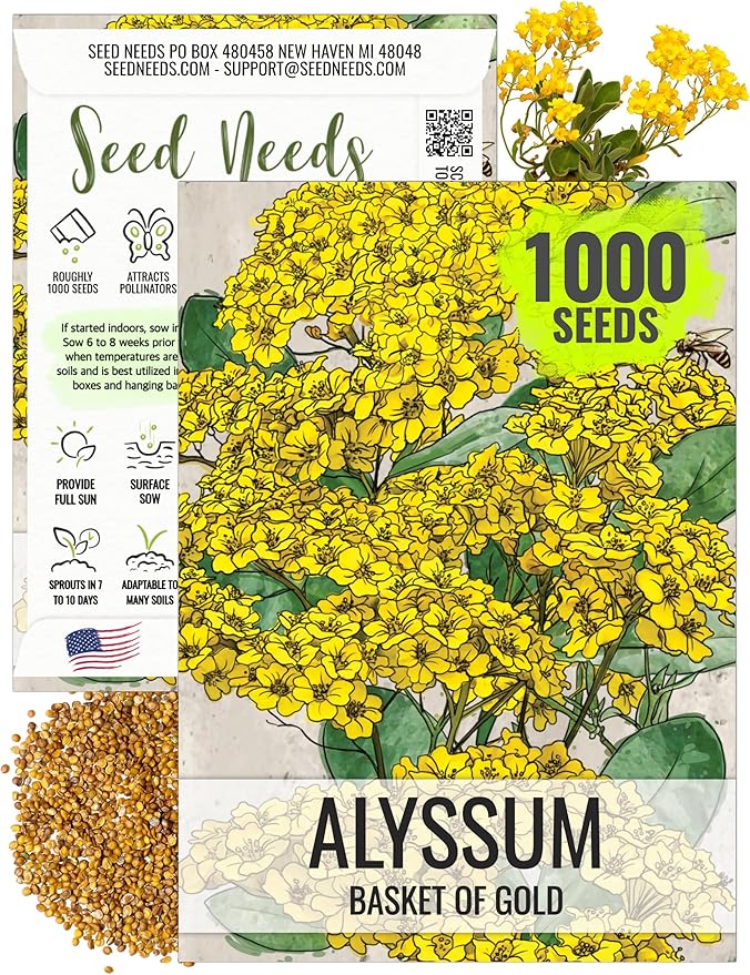 Seed Needs Alyssum Seeds for Planting Basket of Gold - Heirloom Annual Flowers to Attract Pollinators Butterflies & Bees to Outdoor Rock Gardens, Pots, Containers & Window Boxes (1 Pack)
