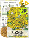 Seed Needs Alyssum Seeds for Planting Basket of Gold - Heirloom Annual Flowers to Attract Pollinators Butterflies & Bees to Outdoor Rock Gardens, Pots, Containers & Window Boxes (1 Pack)