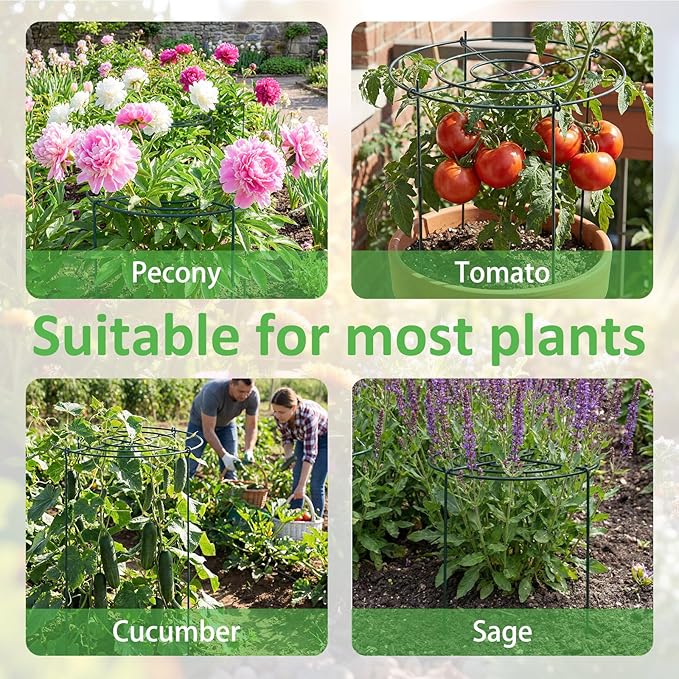 Pelopy 4 Pack 15.7" D x 23.6" H Heavy Duty Peony Cages and Supports, Metal Plant Support Stakes, Flower Support Hoops for Outdoor Garden Roses, Tomatoes, Hydrangeas, Peonies, Sage, Cucumbers