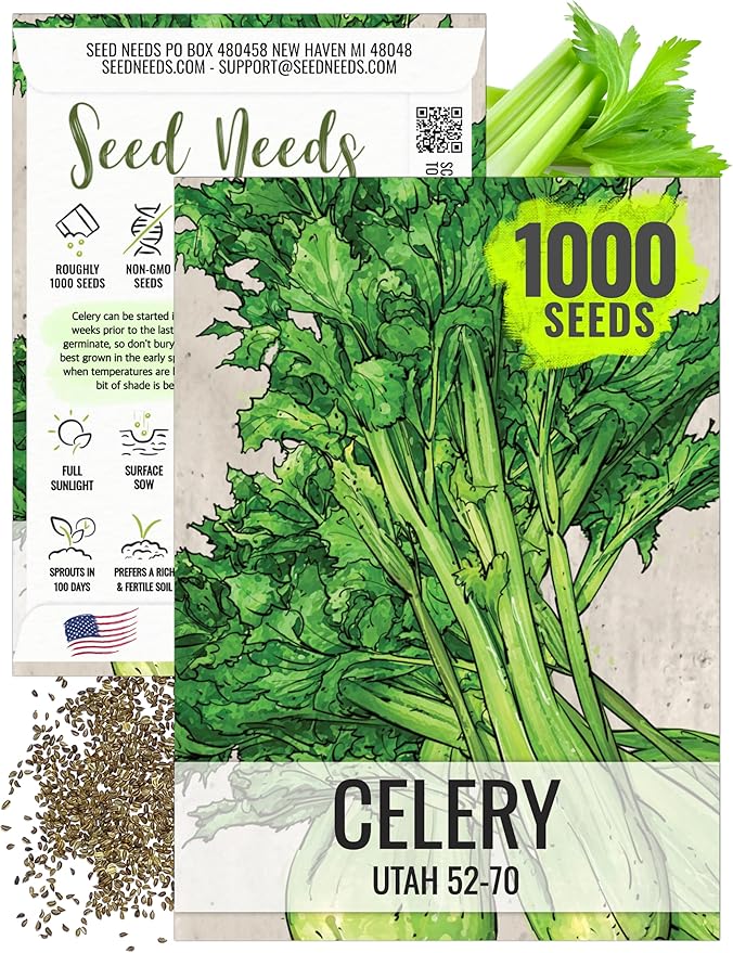 Seed Needs Celery Seeds for Planting Utah 52-70 Celery - Non-GMO, Heirloom & Untreated - Grow a Home Grown Outdoor Vegetable Garden for Fresh Produce (1 Pack)