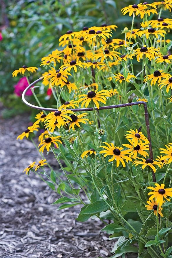Gardener's Supply Company 12" x 19" Jardin Half-Round Supports (Set of 2) | Half-Round Powder-Coated Steel Plant Supports Prevent Flopping Flowers