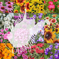 West Virginia Bulk Perennial Wildflower Seed Mix 1lb Covers 2,000sq-ft - Attract Pollinators, Multi-Color Blooms - Northeast US Species Plant in Spring/Fall - Earth-Friendly Packaging (1/2 Pound)