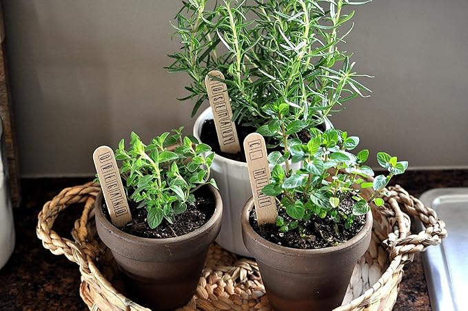 Organic Potting Soil Mix 4qt for All Indoor & Outdoor Small Containers Including Herbs, Vegetables, and Flowers