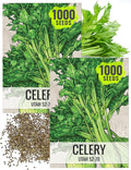 Seed Needs Celery Seeds for Planting Utah 52-70 Celery - Non-GMO, Heirloom & Untreated - Grow a Home Grown Outdoor Vegetable Garden for Fresh Produce (2 Packs (2,000 Seeds))