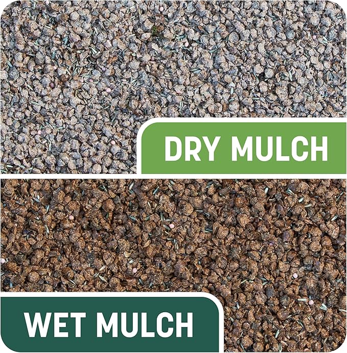 Pennington Smart Patch Tall Fescue 5lb 100 sq. ft. Grass Seed Bare Spot Repair with Mulch and Fertilizer