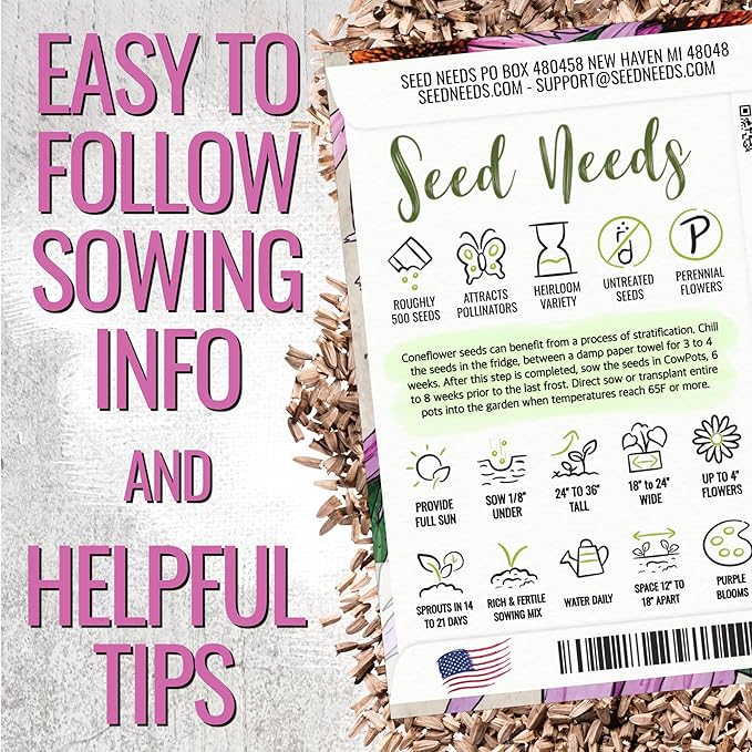Seed Needs Purple Coneflower Seeds for Planting Echinacea - Heirloom & Open Pollinated Perennial Medicinal Flower - Perfect for a Butterfly Garden (5 Packs)