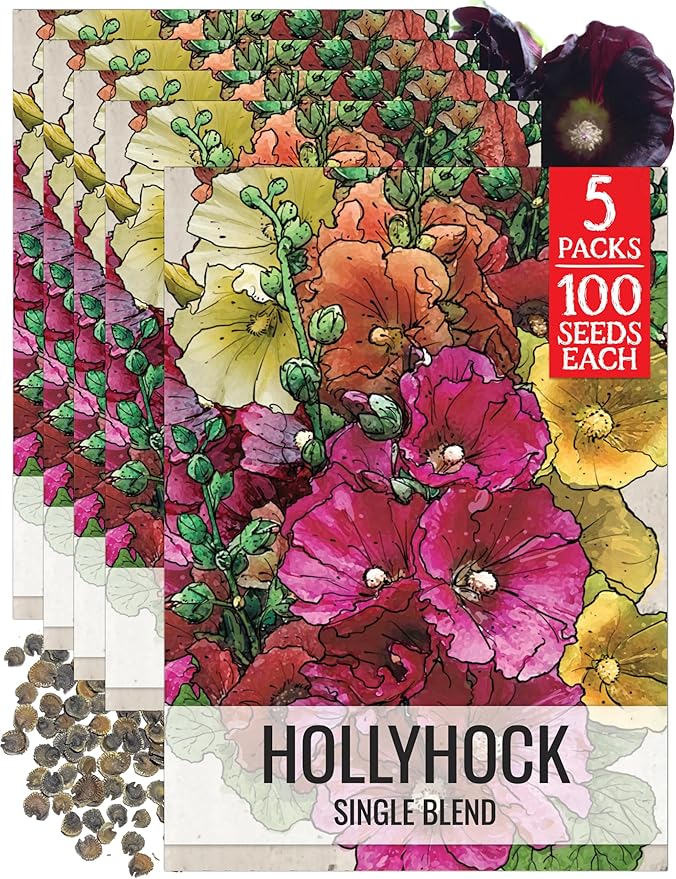 Seed Needs, Single Blend Hollyhock Seeds - 100 Heirloom Seeds for Planting Alcea rosea - Biennial Open Pollinated Flowers to Attract Butterflies & Bees to the Garden (1 Pack)